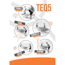 The five sports you can play on a Teqball table