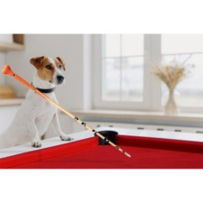A dog plays with the Pawfect Pool Cue.