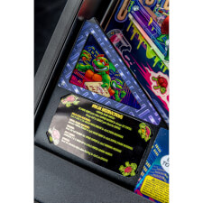Playfield detail of the Teenage Mutant Ninja Turtles pinball machine.