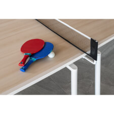 The bats included with the Spider tennis table.