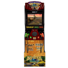The Big Buck World arcade.