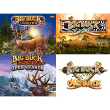 The Big Buck World arcade.