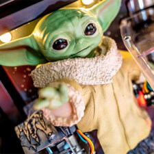 The Mandalorian Premium pinball Gogru character.