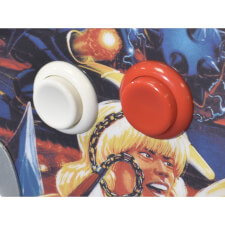 Flipper & Nudge buttons.