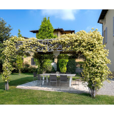 The Grasshopper Outdoor tennis table.