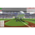 The HD Sports Simulator games landscape.