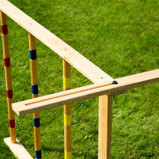 The Ladder Game in a garden.