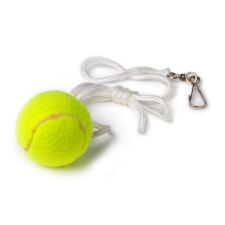 The Tether Ball game ball.