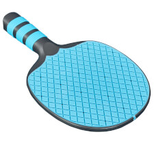 The Tekscore Rainbow blue bat.