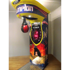 The Boxer Champion Ready To Go!