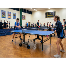 The Butterfly Spirit Match L22 Rollaway Indoor Table Tennis 
