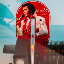 The Sould Leisure Elvis Presley 