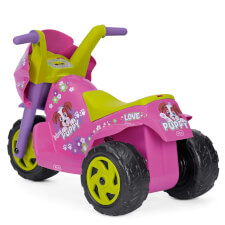 The Mini Puppy Ride On Motorbike Back View.