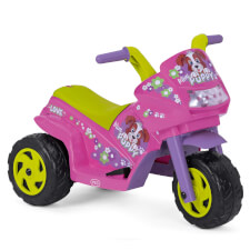 The Mini Puppy Ride On Motorbike.