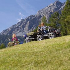 Peg Perego Adventure Trailer.