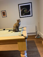 Review image submitted by Robert Jones