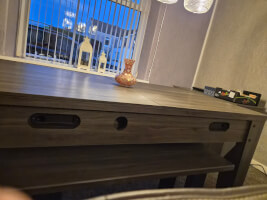 Review image submitted by Nerys Lloyd