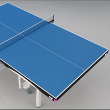 Butterfly Centrefold 25 Rollaway Table Tennis Video