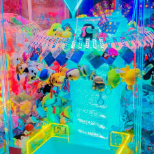 Win Fall Revolution Single Player Arcade Machine Video